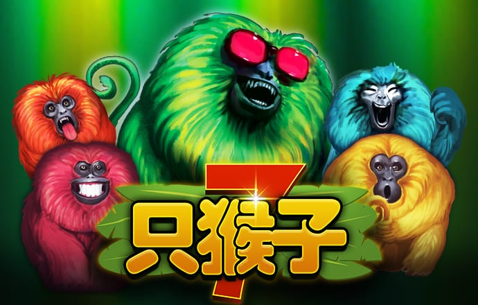 球速体育app